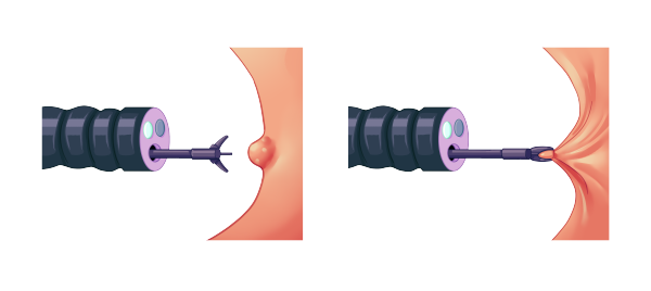 640 (3).png