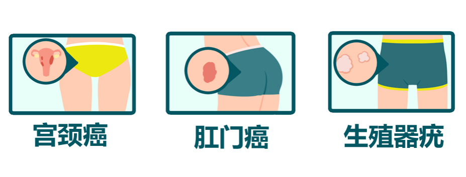 640 (10).png